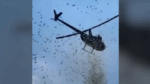 ΗΠΑ: «Έβρεξε» δολάρια από ελικόπτερο στο Ντιτρόιτ – Ήταν η τελευταία επιθυμία ενός άνδρα