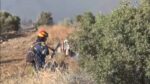 Χίος: Πύρινη «κόλαση» το νησί – Μαίνονται τα ενεργά μέτωπα και οι άνεμοι