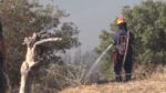 Χίος: Μάχη με τις φλόγες και τους ανέμους δίνουν οι πυροσβέστες στο νησί