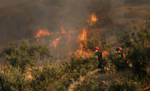 Φωτιά σε Ιεράπετρα, Λακωνία, Χαλκιδική – Αναζωπύρωση στην Ιεράπετρα