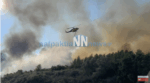 Μεγάλη πυρκαγιά στο Ευηνοχώρι Μεσολογγίου – Ισχυρές δυνάμεις στο σημείο (βίντεο)