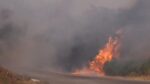 Φωτιές: Πύρινη λαίλαπα σε Ζάκυνθο & Κεφαλονιά – Απανωτά μηνύματα από το 112