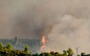 Πέντε συλλήψεις για πυρκαγιές από αμέλεια