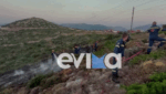 Εύβοια: Υπό μερικό έλεγχο η φωτιά στα Μεσοχώρια
