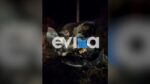 Εύβοια: ΙΧ έπεσε σε χαντάκι 150 μέτρων – 1 νεκρός