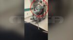 Νέες μαρτυρίες για τον 43χρονο που κάρφωσε με πιρούνι την έγκυο σύντροφό του πάνω από 100 φορές