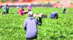 Εταζαν δουλειά σε αλλοδαπούς και τους έκαναν σκλάβους – Πως δρούσε το αδίστακτο κύκλωμα της 29χρονης Σνέχα