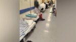 Λαϊκό νοσοκομείο: Γεμάτοι με ράντζα οι διάδρομοι – Σε απόγνωση οι εργαζόμενοι