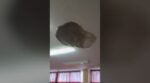 Ηγουμενίτσα: Έπεσαν σοβάδες σε σχολείο της περιοχής – Από θαύμα γλίτωσαν οι μαθητές