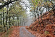 Δήμος Αγρινίου: Διάνοιξη ορειβατικών διαδρομών του όρους Αρακύνθου και της νότιας όχθης της λίμνης Τριχωνίδας