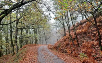 Δήμος Αγρινίου: Διάνοιξη ορειβατικών διαδρομών του όρους Αρακύνθου και της νότιας όχθης της λίμνης Τριχωνίδας