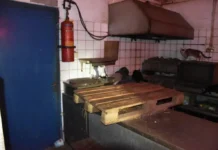 Φυλάκιση τριών ετών στον βασανιστή ζώων στη Δονούσα: «Αγαπάω τα γατάκια και θέλω μόνο το καλό τους»