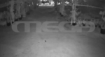 Ηχητικό ντοκουμέντο Live News για τη διπλή δολοφονία στη Φοινικούντα – Οι έξι βολές του δολοφόνου μέσα σε 11”
