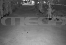 Ηχητικό ντοκουμέντο Live News για τη διπλή δολοφονία στη Φοινικούντα – Οι έξι βολές του δολοφόνου μέσα σε 11”