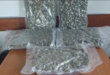 Σύλληψη άνδρα στην Ε.Ο. Αγρινίου Καρπενησίου για μεταφορά 5 κιλών κάνναβης (φωτο)