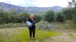 Αιτωλοακαρνανία: Μαζεύει ελιές τραγουδώντας! Συγκλονίζει με τη φωνή της η κυρία Ντίνα (video)