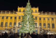 Αυστρία: Άνοιξε η χριστουγεννιάτικη αγορά της Βιέννης – Εκατοντάδες κάτοικοι & τουρίστες στους δρόμους