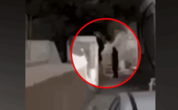 Βορίζια Κρήτης: Αναπαράσταση της συμπλοκής ζητά ο γαμπρός του 39χρονου για να αποδείξει πως δεν σκότωσε την 56χρονη