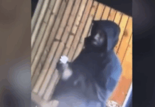 Μεγάλη Βρετανία: Βίντεο ντοκουμέντο από την αιματηρή επίθεση με μαχαίρι σε τρένο