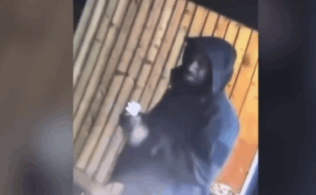 Μεγάλη Βρετανία: Βίντεο ντοκουμέντο από την αιματηρή επίθεση με μαχαίρι σε τρένο