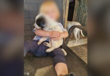 Ζάκυνθος: Τι λένε εκπαιδευτές σκύλων για το περιστατικό με τον θάνατο του 2χρονου μετά από επίθεση σκύλου