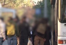 ΟΠΕΚΕΠΕ: Στην ανακρίτρια η δεύτερη ομάδα κατηγορουμένων για τις παράνομες επιδοτήσεις