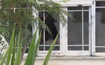 Σαλαμίνα: Το νέο ηχητικό ντοκουμέντο προκαλεί ανατριχίλα