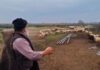 Θεσσαλονίκη: «Κατέρρευσε» ο κτηνοτρόφος που αποχαιρέτησε με δάκρυα τα 450 πρόβατά του