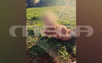 Ζάκυνθος: Πίτμπουλ κατασπάραξε 2χρονο αγοράκι