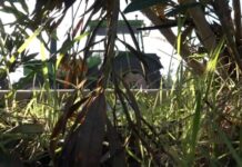 Η κραυγή απόγνωσης αγροτών & κτηνοτρόφων – «Είναι πολύ δύσκολο…»