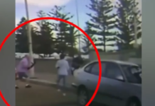 Αυστραλία: Νέο βίντεο σοκ από την τρομοκρατική επίθεση σε παραλία του Σίδνεϊ – Ηλικιωμένο ζευγάρι προσπαθεί να αφοπλίσει τον δράστη