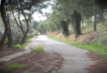 Φιλοθέη: Ραντεβού κατέληξε σε σκηνικό τρόμου – Έστησαν ενέδρα σε 20χρονο με «δόλωμα» μία γυναίκα