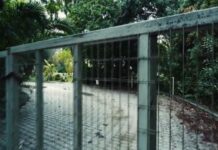 Φοινικούντα: Οι ανατροπές στο διπλό φονικό – Το σκεπτικό της ανακρίτριας