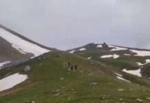 Φωκίδα: Νεκροί οι τέσσερις ορειβάτες που αγνοούνταν στα Βαρδούσια – Καταπλακώθηκαν από χιονοστιβάδα