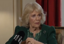 Μεγάλη Βρετανία: Σεξουαλική επίθεση σε τρένο όταν ήταν έφηβη αποκάλυψε η βασίλισσα Καμίλα