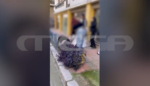 Λαμία: Άγριος καυγάς ανηλίκων στο κέντρο της πόλης – Τραυματίστηκε μητέρα που πήγε να τις χωρίσει