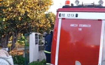 Ναύπακτος: Στο «μικροσκόπιο» ο θάνατος δύο αδερφών από φωτιά – MEGA αποκάλυψη