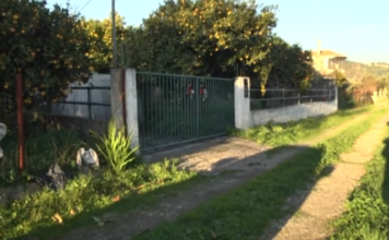 Ναύπακτος: Το Live News παρουσιάζει όσα αναφέρει η έκθεση της Πυροσβεστικής για τη φωτιά στο σπίτι των 2 αδελφών