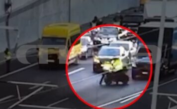 Αττική Οδός: Η στιγμή που μοτοσικλετιστής παρασέρνει τροχονόμο που τον σταμάτησε για έλεγχο – MEGA ντοκουμέντο