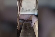 Ροδόπη: Νεκρός 7χρονος μετά από φωτιά που ξέσπασε από ξυλόσομπα – Νοσηλεύεται ο αδερφός του