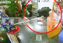 Χολαργός: Συνελήφθησαν οι δύο δράστες της επίθεσης με μαχαίρι σε 14χρονο – Βίντεο ντοκουμέντο