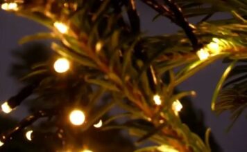 Χριστούγεννα σε όλο τον κόσμο με μηνύματα ειρήνης & αγάπης