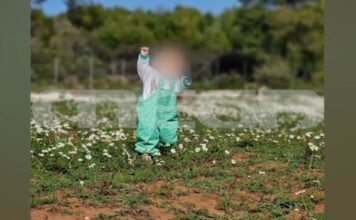 Ζάκυνθος: Πίτμπουλ κατασπάραξε αγοράκι 2 ετών στην αυλή του σπιτιού του