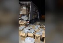 Λιμάνι Πάτρας: Εντοπίστηκαν τεράστιες ποσότητες ναρκωτικών σε νταλίκα – Τα βρήκαν αστυνομικοί σκύλοι