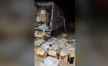 Λιμάνι Πάτρας: Εντοπίστηκαν τεράστιες ποσότητες ναρκωτικών σε νταλίκα – Τα βρήκαν αστυνομικοί σκύλοι