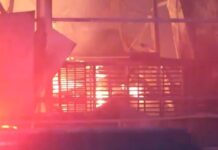 Τρίκαλα: Συνελήφθη ο ιδιοκτήτης του εργοστασίου & δύο ακόμα στελέχη της εταιρείας