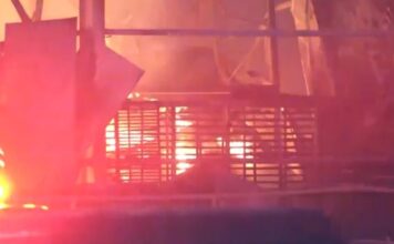 Τρίκαλα: Συνελήφθη ο ιδιοκτήτης του εργοστασίου & δύο ακόμα στελέχη της εταιρείας