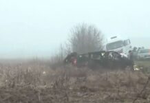 Ρουμανία: Με C-130 θα μεταφερθούν σήμερα οι 7 σοροί στη Θεσσαλονίκη