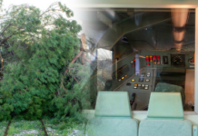 Ηλεία: Τρένο συγκρούστηκε με τεράστιο πεύκο που έπεσε στις ράγες – Τραυματίστηκε ο μηχανοδηγός