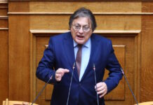 Ο Αλέξανδρος Αυλωνίτης κάνει «άνοιγμα» στη Μαρία Καρυστιανού: «Θέλω να μιλήσω μαζί της για να φτιαχτεί αντικυβερνητικό μέτωπο»